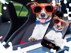 Glasses, dog, Tounge, Funny, Smartphone, Jack Russell Terrier