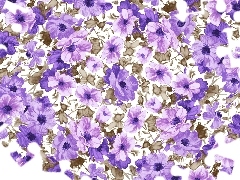 texture, purple, Flowers