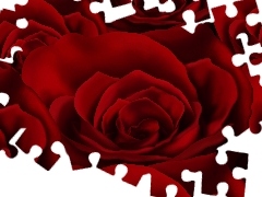 texture, Red, roses