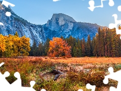 Half Dome, Yosemite National Park, viewes, trees, autumn, The United States, California, mountains, Mountains, rays of the Sun, forest