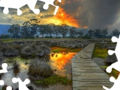 The setting, sun, by, swamp, footbridge