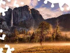 Yosemite National Park, rocks, Fog, trees, Mountains, State of California, The United States, viewes