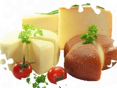 different, cheeses, tomatoes, Species