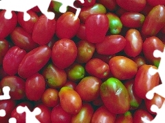 red, Longitudinal, tomatoes, green ones