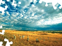Tombstones, Field, clouds
