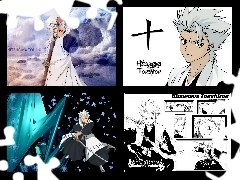 Toshiro Hitsugaya, collage