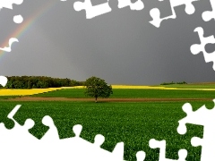 field, trees, tower, Great Rainbows