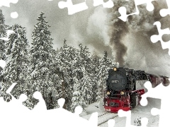 Train, winter, forest