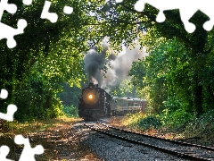 viewes, forest, steam train, smoke, ##, trees