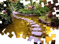 transition, rhododendron, water, Stone, Garden