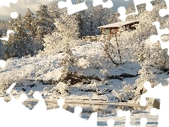 trees, winter, Bush, house, viewes, Pond - car