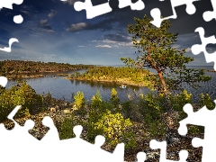 lake, Ladoga, Bush, rocks, viewes, Karelia, Russia, trees