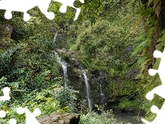 trees, Bush, Mountains, Rocks, waterfall