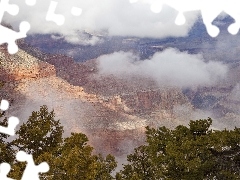 canyon, branch pics, trees, clouds