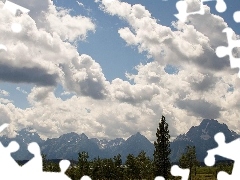 green ones, White, viewes, clouds, Sky, trees, Plants