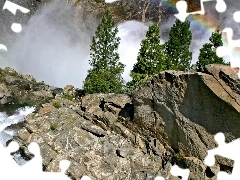 trees, viewes, Great Rainbows, waterfall, rocks