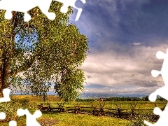 trees, HDR, field, fence, medows