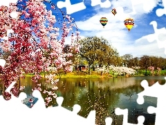 lake, flourishing, trees, Balloons