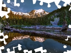 lake, Stems, trees, Mountains