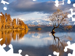 Mountains, Wanaka Lake, clouds, New Zeland, autumn, trees