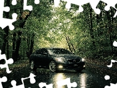 trees, viewes, Lexus IS, Way, Gray