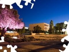trees, Night, Jerusalem, highlighted, university