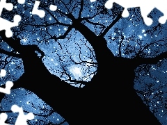 trees, Sky, star