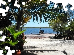 Beaches, Palm, trees, viewes, Boats, River