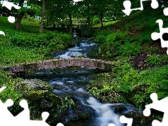 fern, Park, trees, viewes, bridges, brook