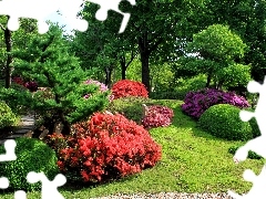 flourishing, Garden, trees, viewes, Bush, beatyfull