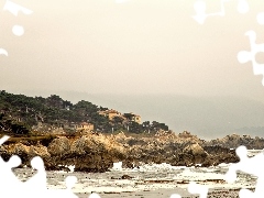 trees, viewes, Houses, rocks, Coast