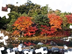 River, Japan, trees, viewes, color, Kyoto