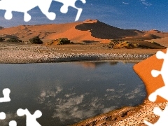 trees, viewes, container, water, Desert