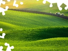 trees, viewes, grass, green, field