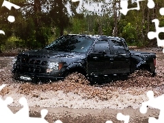 trees, viewes, Raptor, River, Ford