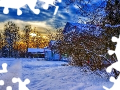 snow, west, trees, viewes, house, sun