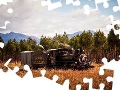 trees, viewes, Mountains, forest, locomotive