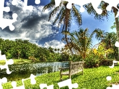 trees, viewes, River, Bench, Palms