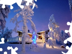 Home, winter, trees, viewes, Snowy, Floodlit