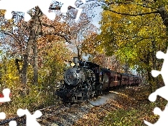 Wagons, locomotive, trees, viewes, track, steam