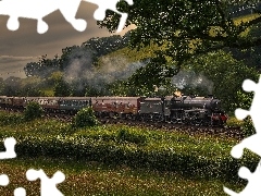 trees, viewes, locomotive, Mountains, Train