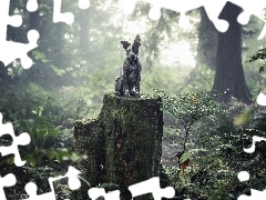 viewes, Australian cattle dog, trunk, trees, forest