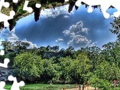 trees, viewes, lake, clouds, watering place