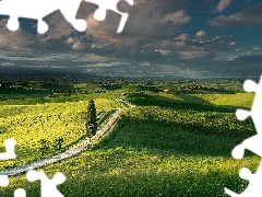 field, Italy, trees, viewes, Way, Tuscany