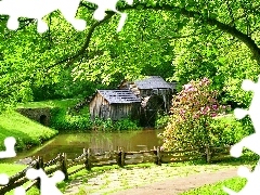 trees, viewes, water, brook, Windmill