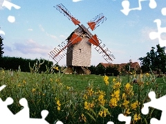 trees, viewes, meadow, Flowers, Windmill