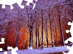 trees, viewes, Park, Snowy, winter