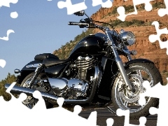 Triumph Thunderbird