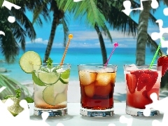 fruit, Ocean, tropic, drinks