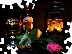 composition, Lamp, tulip, alcohol